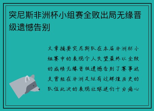 突尼斯非洲杯小组赛全败出局无缘晋级遗憾告别